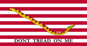 FIRST NAVY JACK