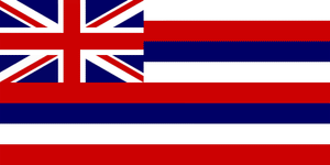 HAWAII STATE FLAG