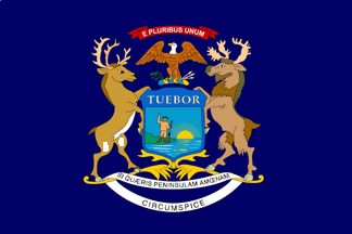 MICHIGAN STATE FLAG